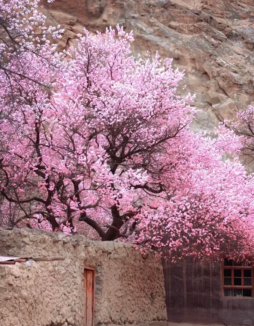 2026年新疆旅游时间表,这一篇就够了