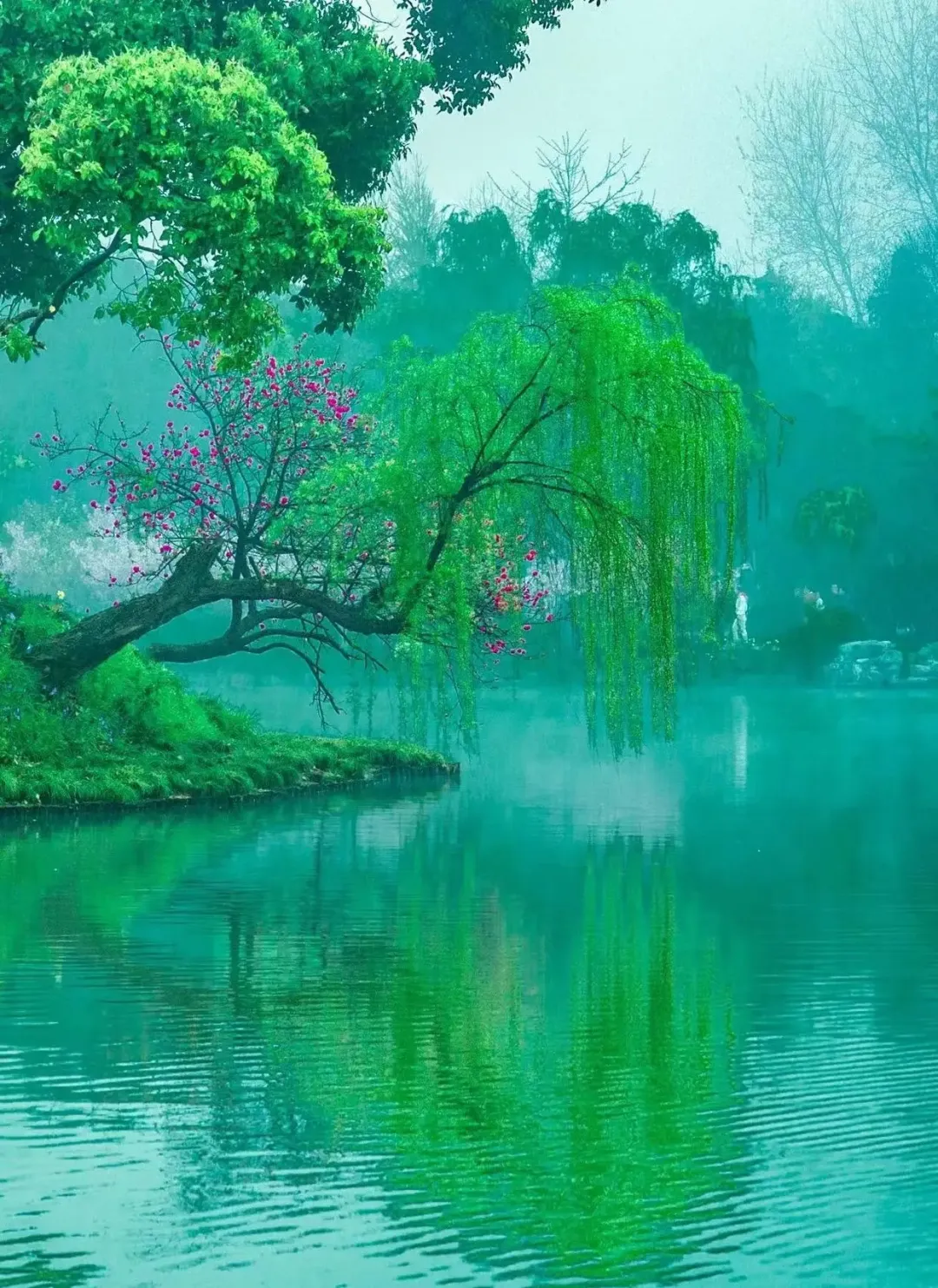 中国这8个景点春天,美得不像话,3月出发,去过一半才算真正热爱旅行!