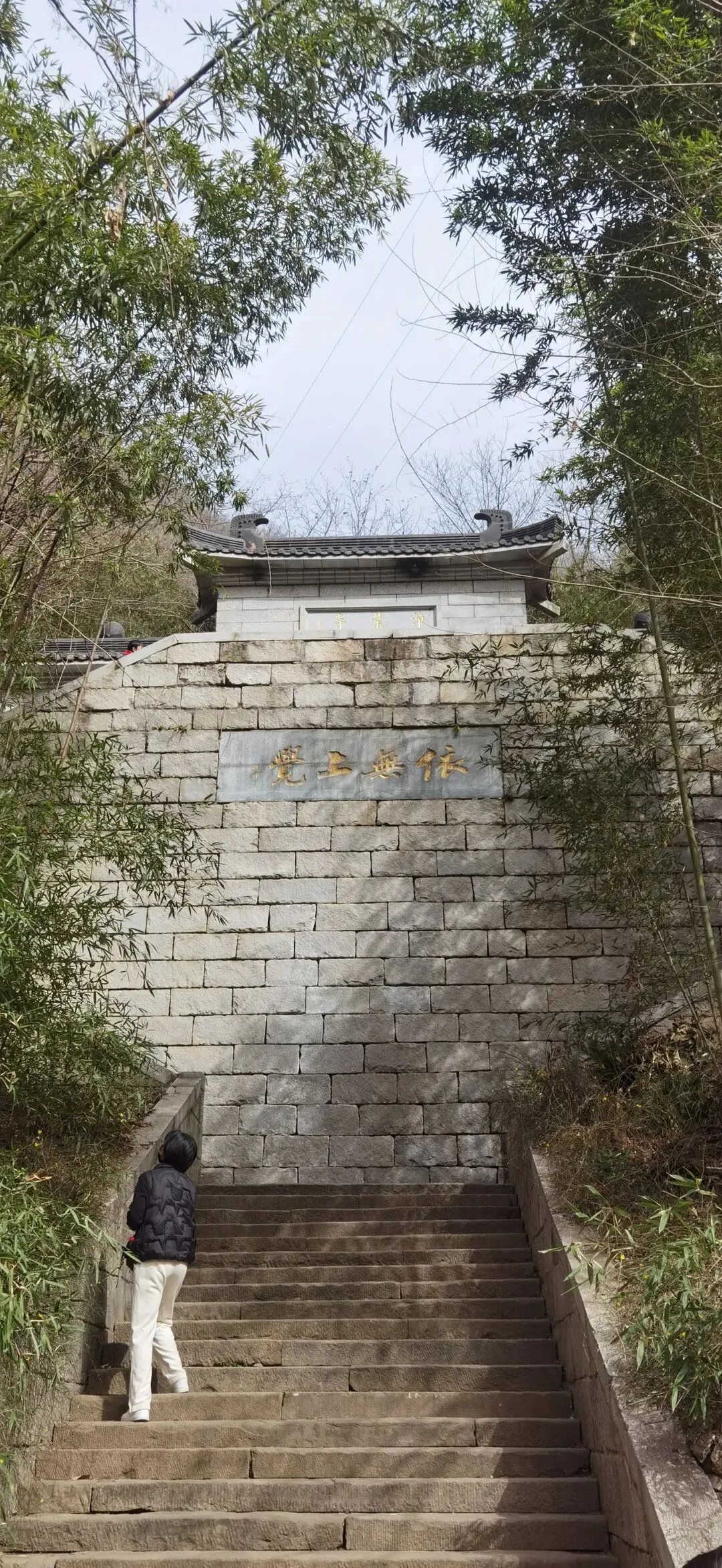 周末踏春,西安周边开车1小时可到的景点