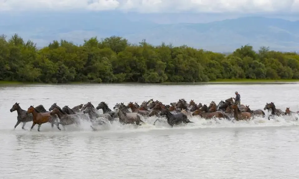 马年寻马,国内与“马”相关的旅游目的地,你知道哪些?