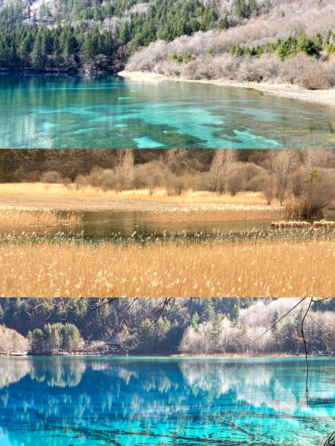 九寨沟实测攻略|避坑必看!附精准游玩路线