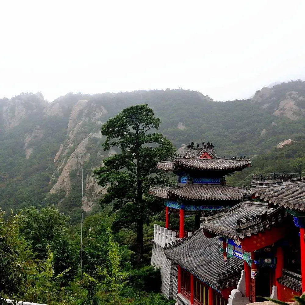 昆嵛山各景区将于3月1日开园啦!