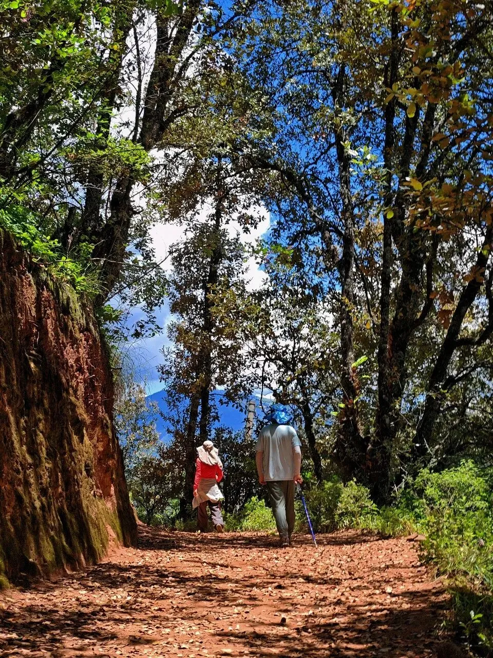 漫游中国-丽江老君山黎明景区