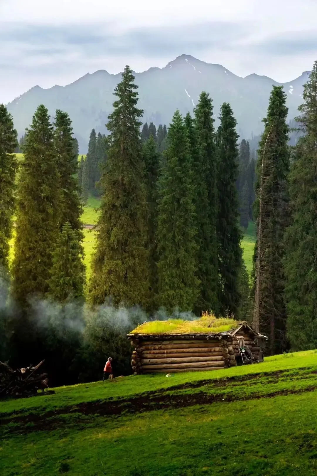 开年破局:2026年的旅游生意,究竟该怎么做?