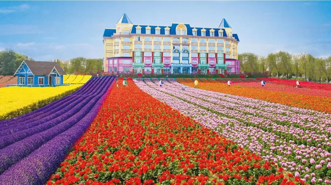 广州又一“惨淡”景点,曾红极一时,年客流量200万人次,如今已关闭一年多,杂草丛生?