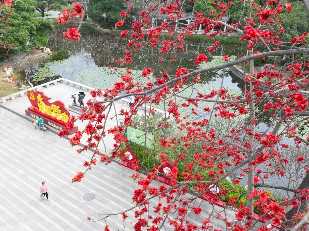 好多人打卡!南沙又多一个网红景点!超级出片!