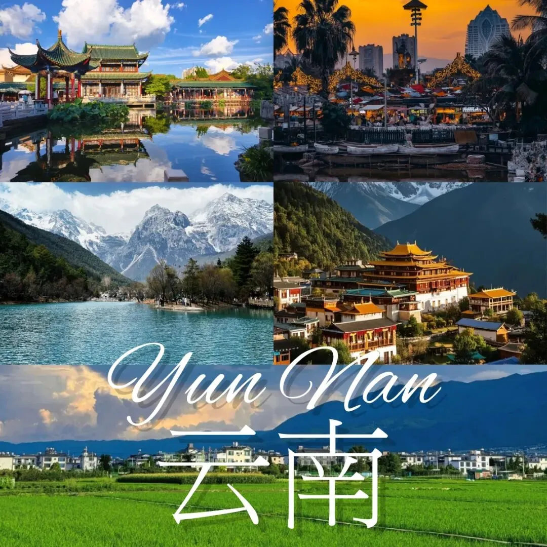 云南旅游能劝一个是一个!!不做好攻略别来踩坑~码住这篇省心实用再出发!