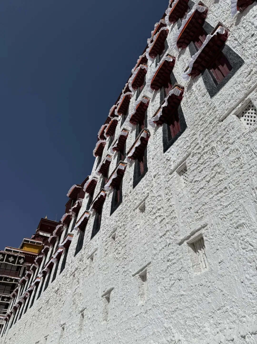 退休后拉萨行:不赶景点,只和姐姐慢享高原治愈时光.