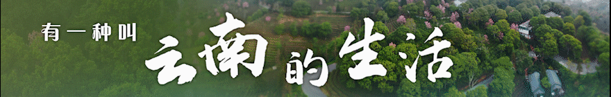 五一去哪儿!普洱茶马古道旅游景区 邀您共赴“梦回茶马”的奇妙之旅!