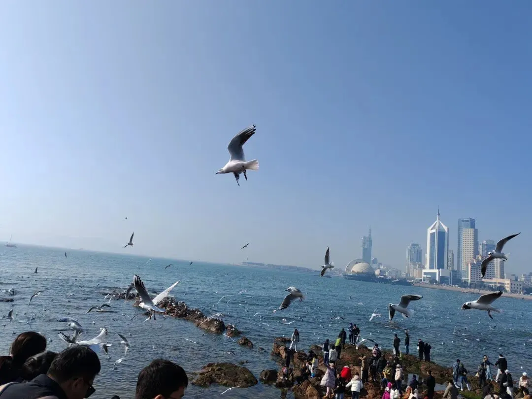 出门旅游只装这几个APP,省心省钱不踩坑,懒人直接抄作业