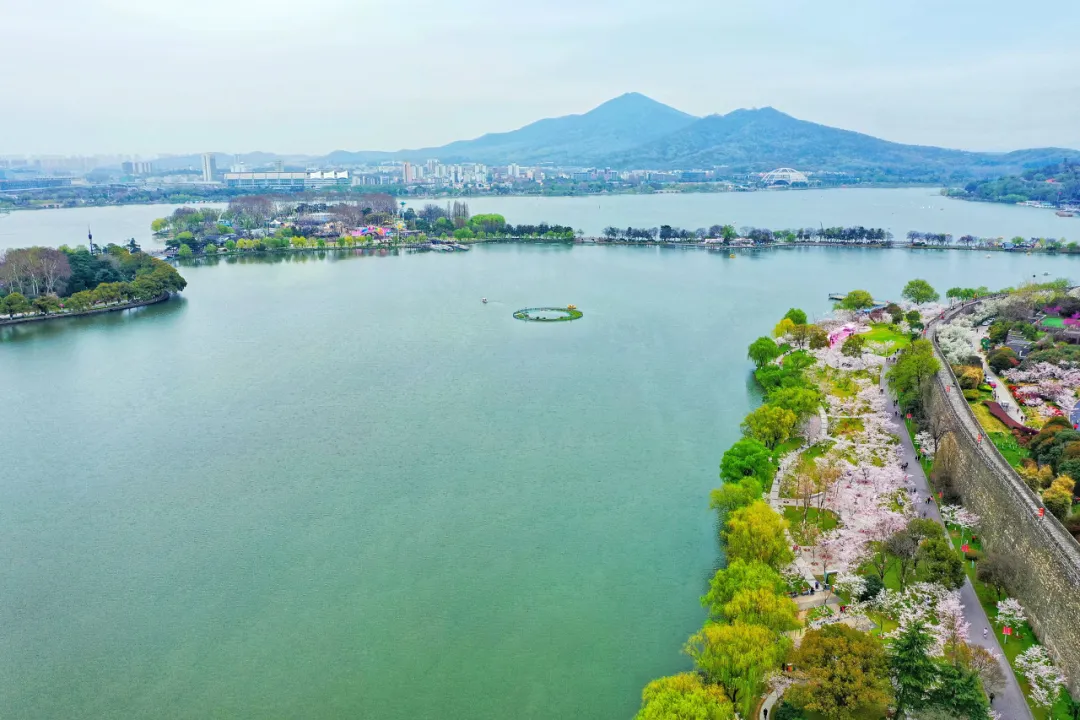 3月南京,这些景区免费开放!错过等一年