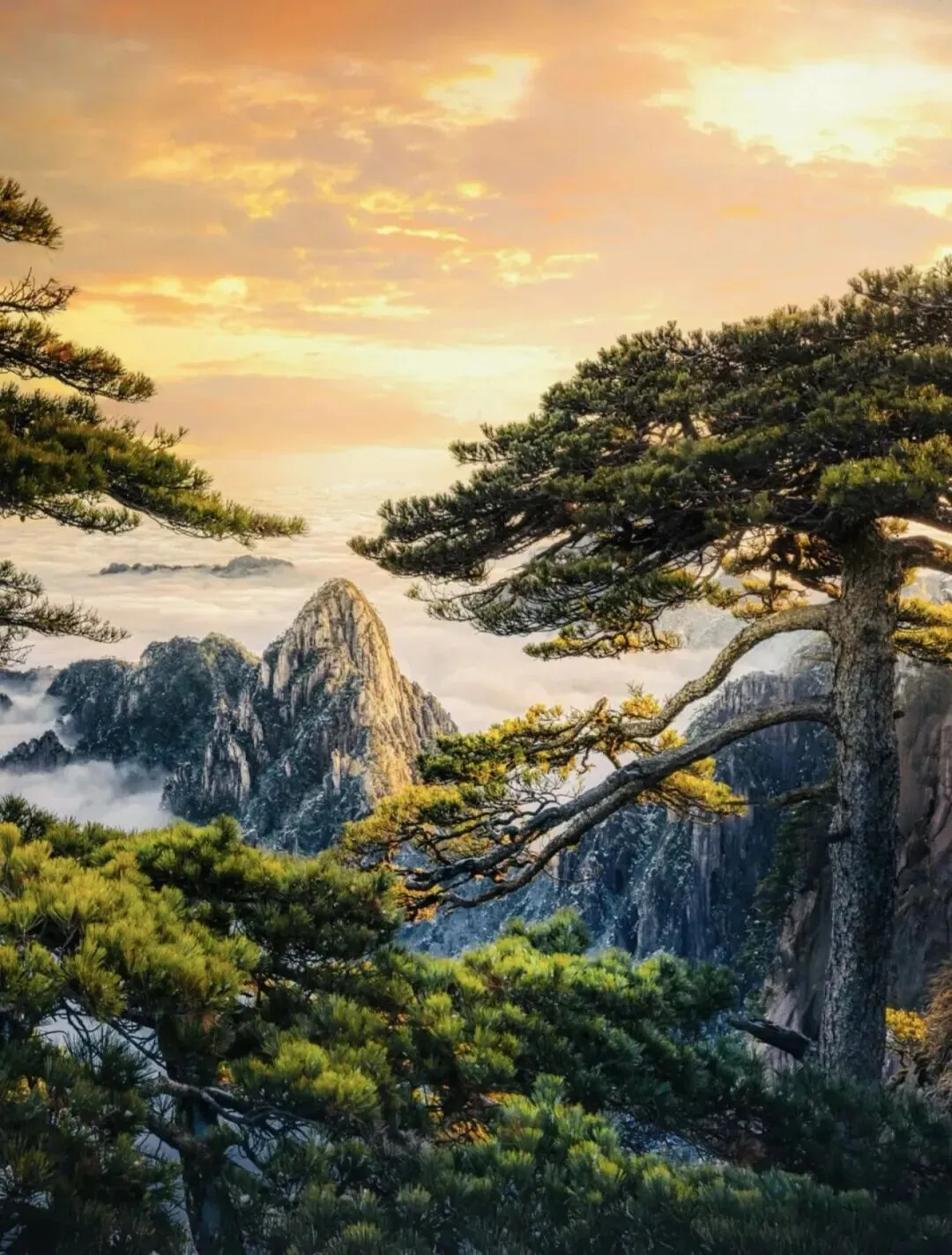 黄山、齐云山等景区,对全球女性免门票