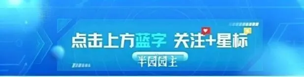 中国式父母旅游:从挤大巴打卡到菜市场“上课”,一场迟到的“为自己活”!