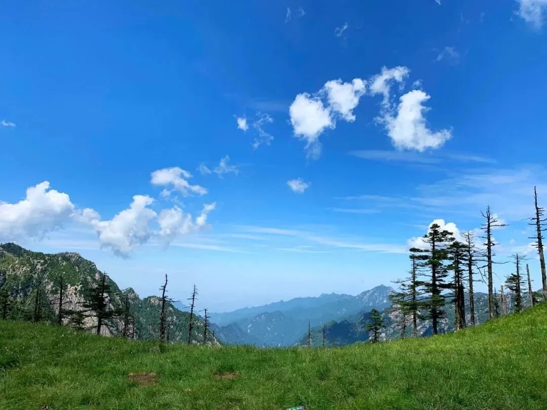 【朱雀国家森林公园】秦旅游年卡3月1日开始使用,朱雀限定·登山吸氧之旅,把焦虑踩在脚下!
