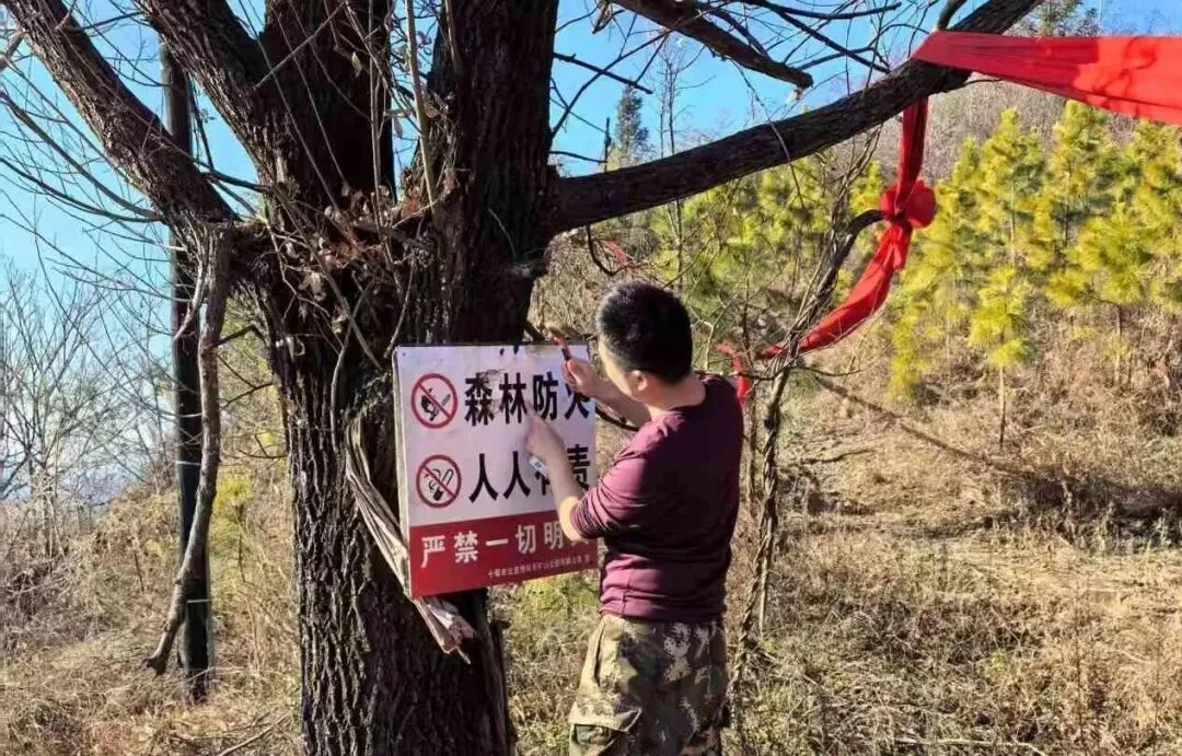 【回顾】云盖寺绿松石矿山公园景区2026年1-2月要闻简报