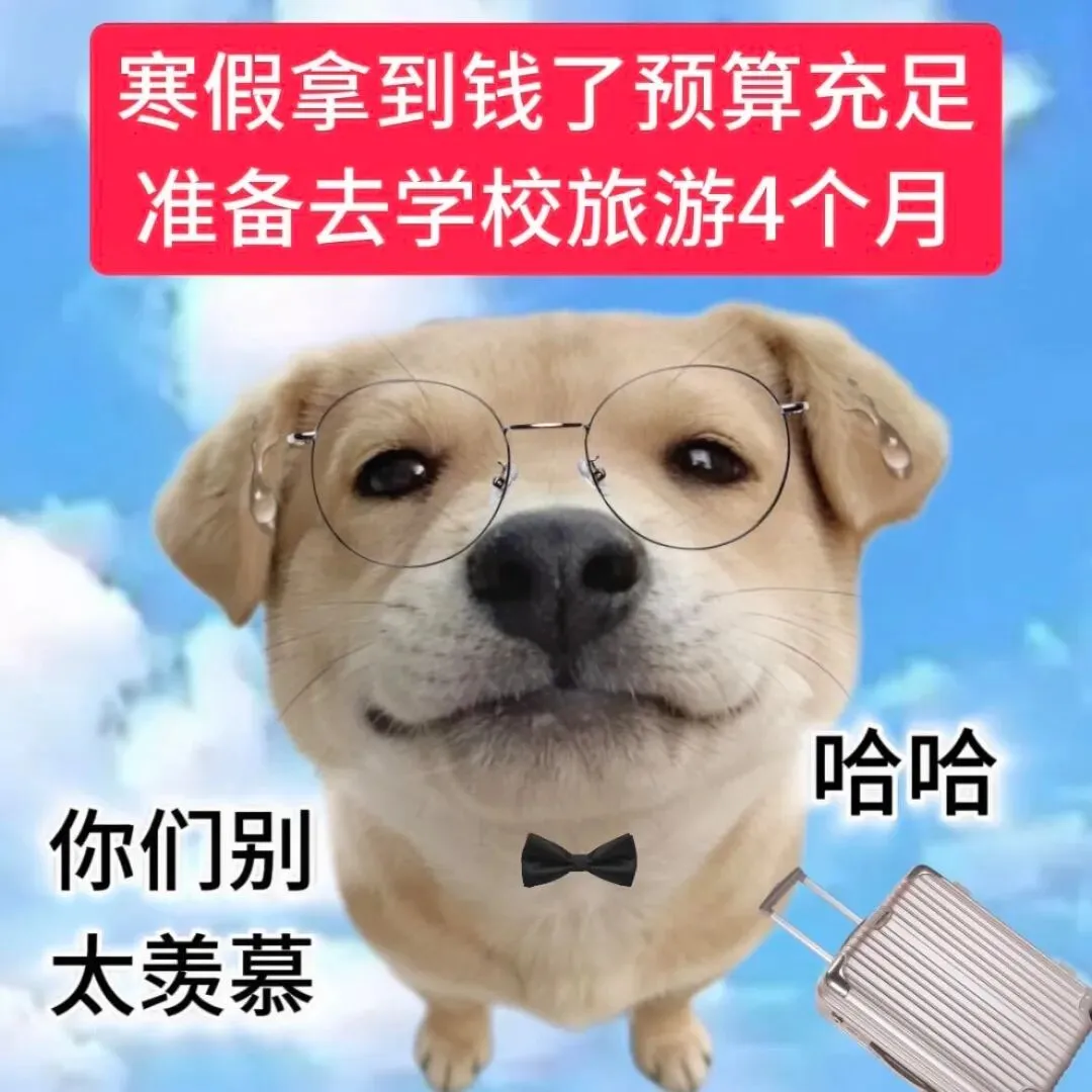 寒假拿到钱了预算充足,准备去学校旅游4个月