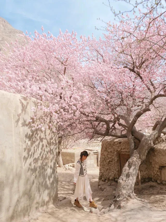 3-4月新疆7天6晚详细旅游攻略~帕米尔高原的杏花季你一定不能错过!(含花期预测)