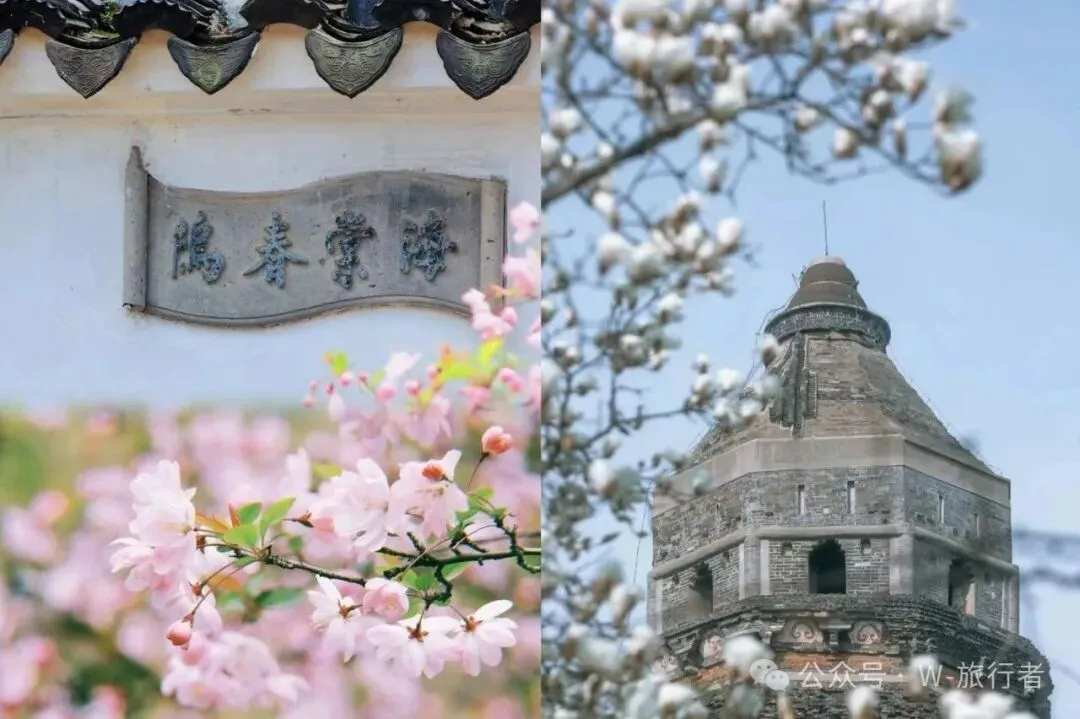 这7个春天旅游城市推荐~