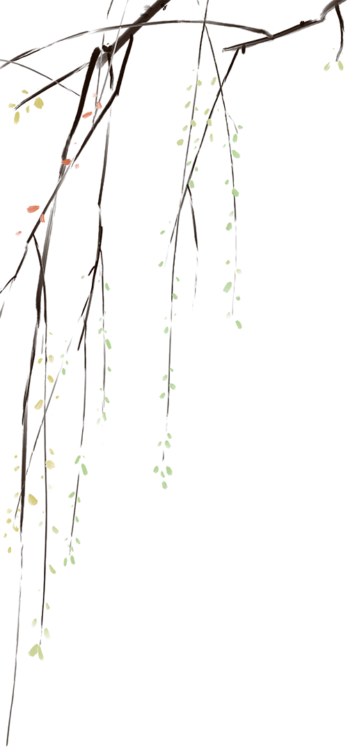 成都六日游/ 颂旅游