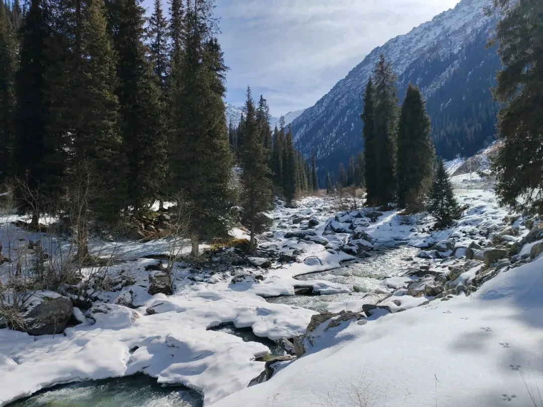 景区冒险拍照,再不敢了