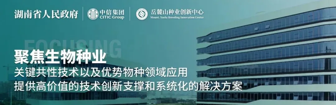 岳麓山风景名胜区管理局杨淑岚一行调研岳麓山种业创新中心