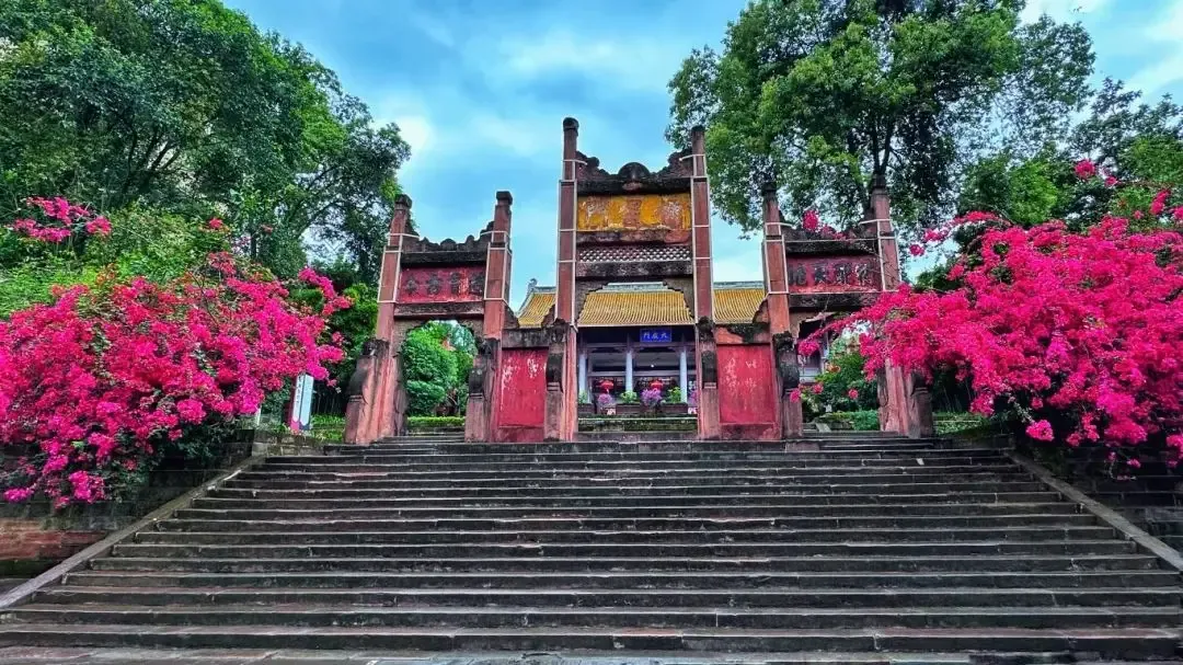 大批俄罗斯人“霸占”四川乐山街头,打着旅游的幌子,不拜乐山大佛不看峨眉金顶,到底被啥迷住了?