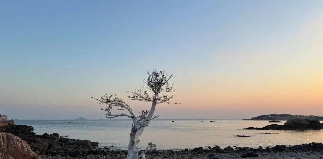 青岛4日跟团旅游攻略:解锁山海间的沉浸式体验