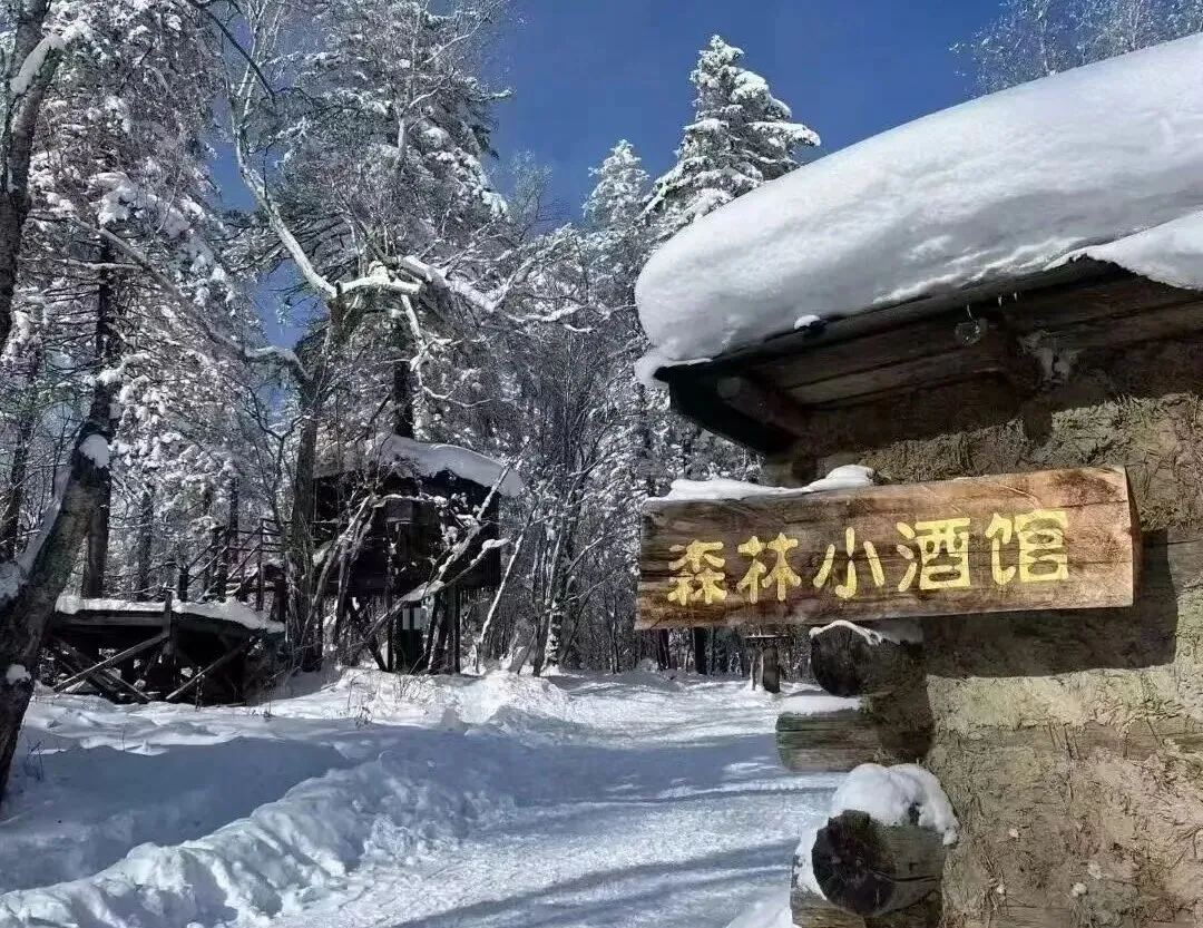 你舍得花两个月工资甚至更多去旅游吗?