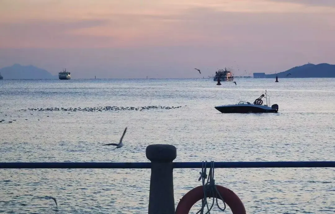 【青岛4天组团旅游】2026紧凑行程规划+时间管理优化攻略