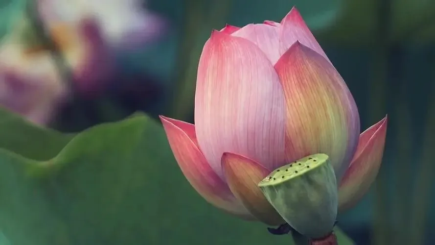 最大的骗局就是带娃去旅游见世面?其实不然,旅游的价值从来就不是去打卡!