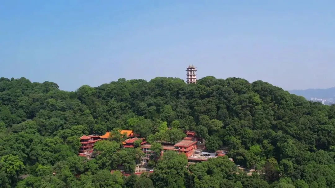 四川这处藏于市区的免费4A景区,公交直达,特别适合拖家带口休闲游