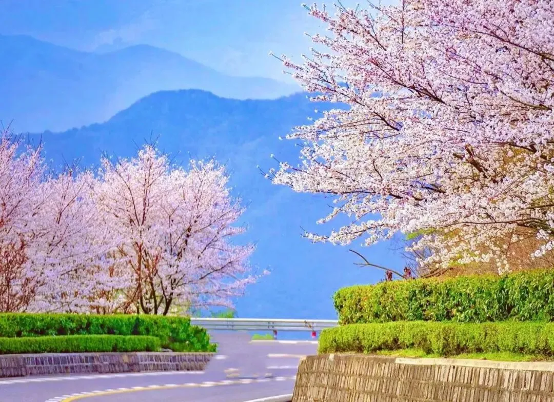 宁波余姚乡村初春游玩攻略