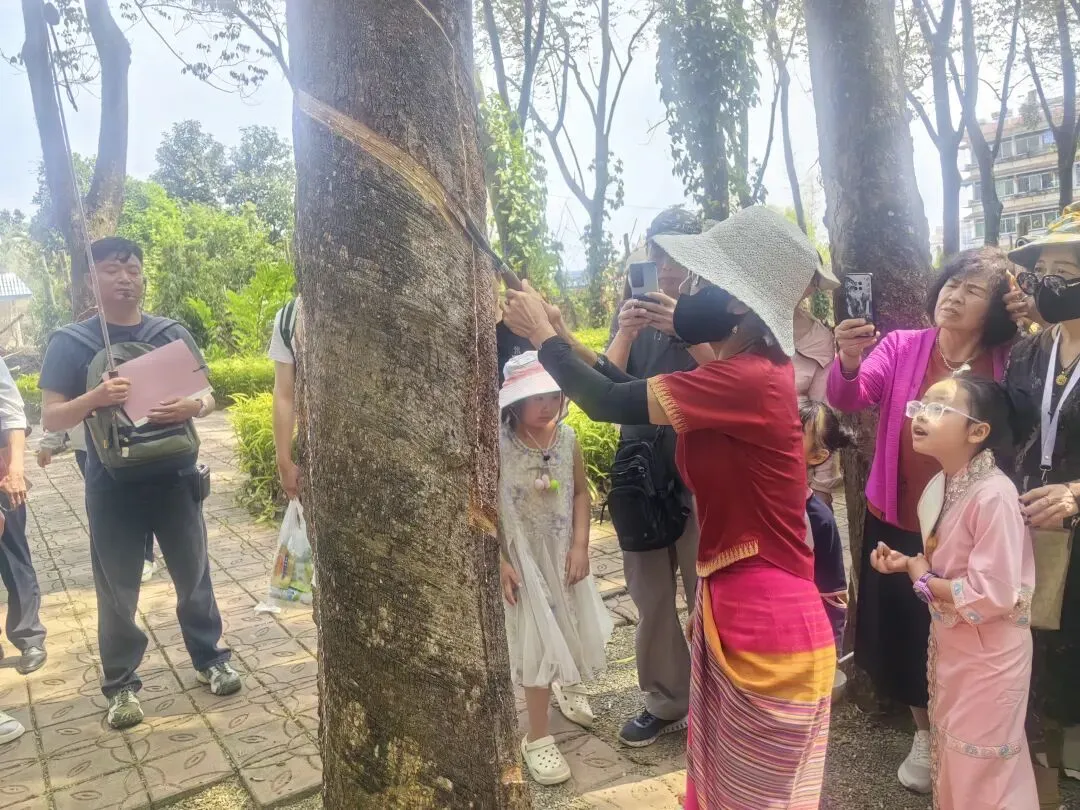 那位报康养旅游的女同学,把北鸟南飞玩出了新花样