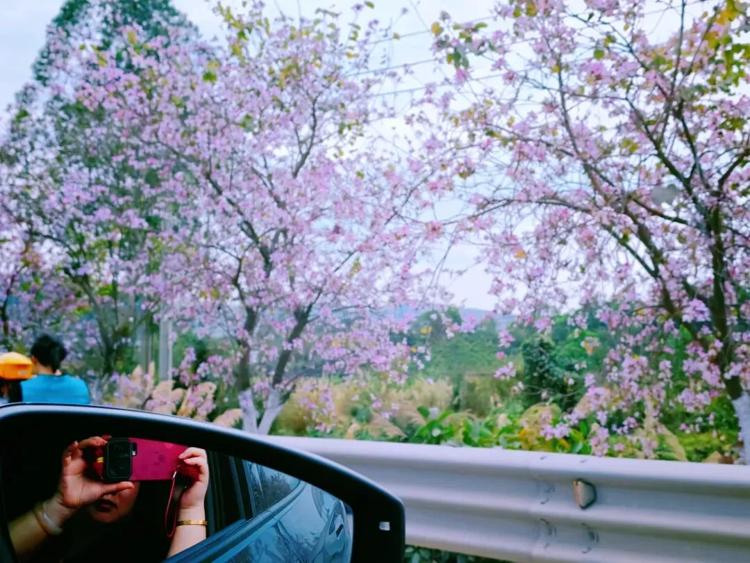 三月份是旅游的好时机