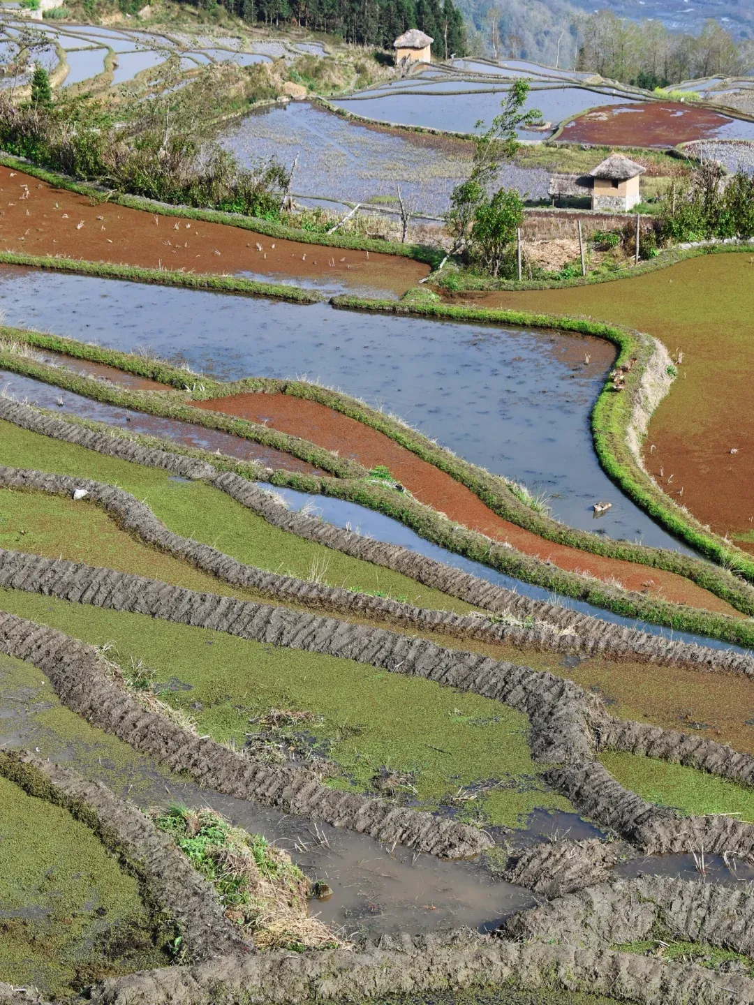 适合2-3月旅游的6个城市,心累了,就去小住三五天!!