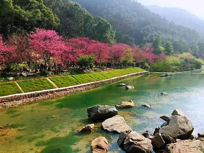 福建福州:把全国景区饭碗砸漏了,是这长达一个月的中国式过年