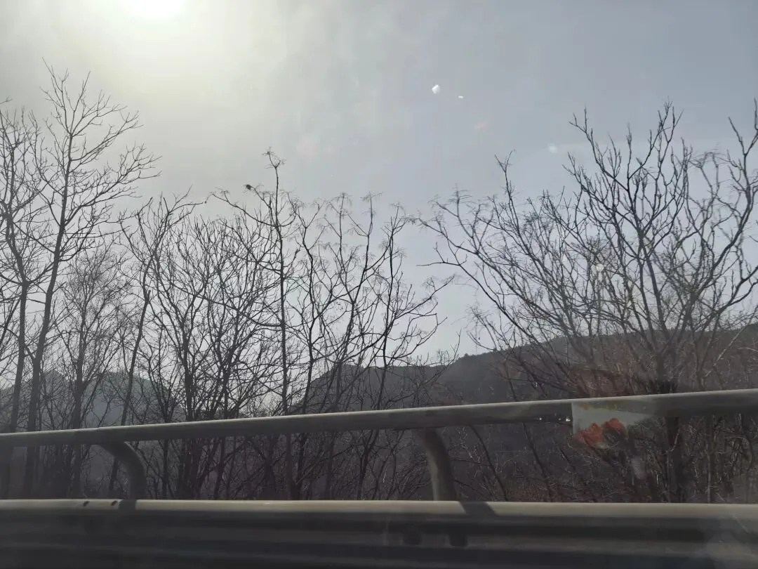 来年春节我不想出去旅游了