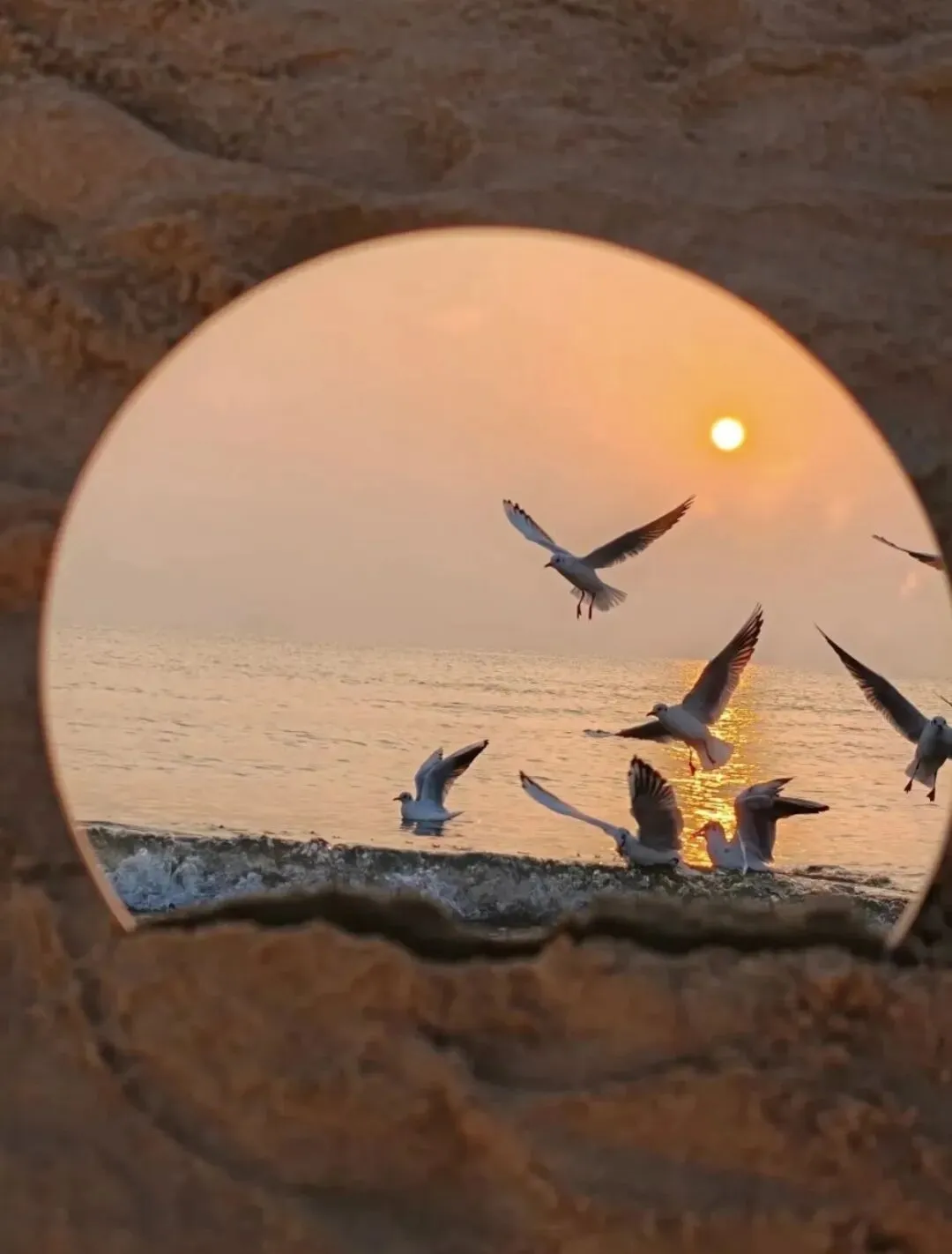 “藏起来,旅游时拿一句,朋友圈会被赞爆”