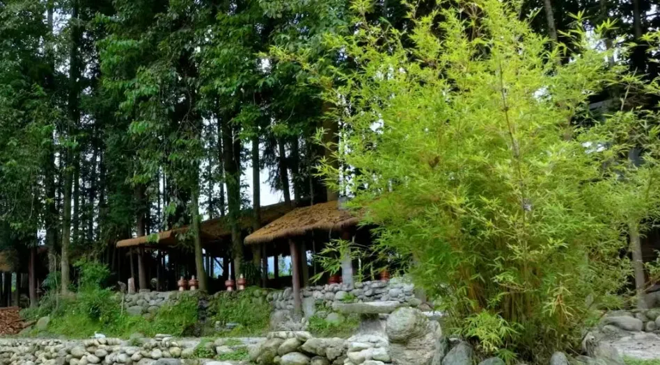 【乡村旅游】“荒野厨房”+“轻徒步”:用“五巧”秘诀打造乡村旅游新爆款