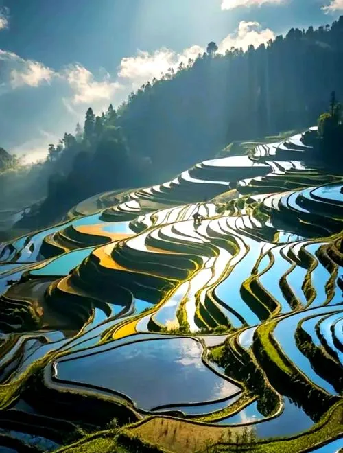 元阳县十大必去旅游景点,来红河州一日游首选这里!