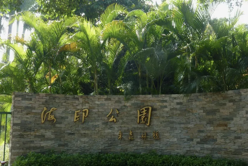 别再去网红景点了!我在广州这个免费公园,偷听了整座城市的呼吸