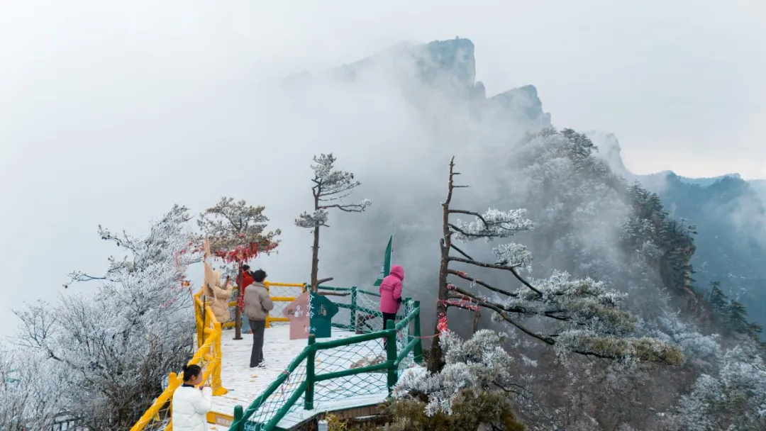 南阳老界岭景区:3月1日至4月30 日免门票,邀您畅玩整个春天