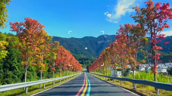 【山水江西】5A景区三百山、东江第一瀑、东升围屋、无为塔纯玩二日游