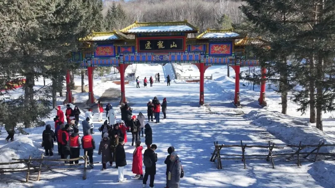 【冰雪森林 童话伊春】透龙山景区吸引上海百家旅行社联袂到访
