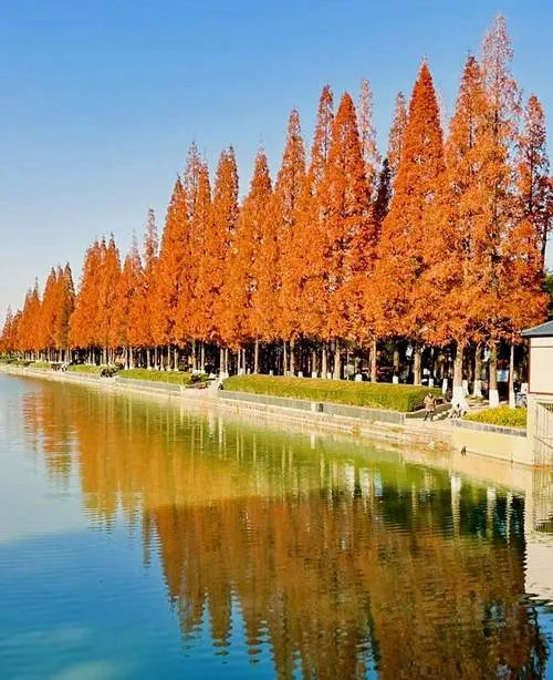 南昌县十大旅游景点,南昌市一日游精华所在,你来吗?