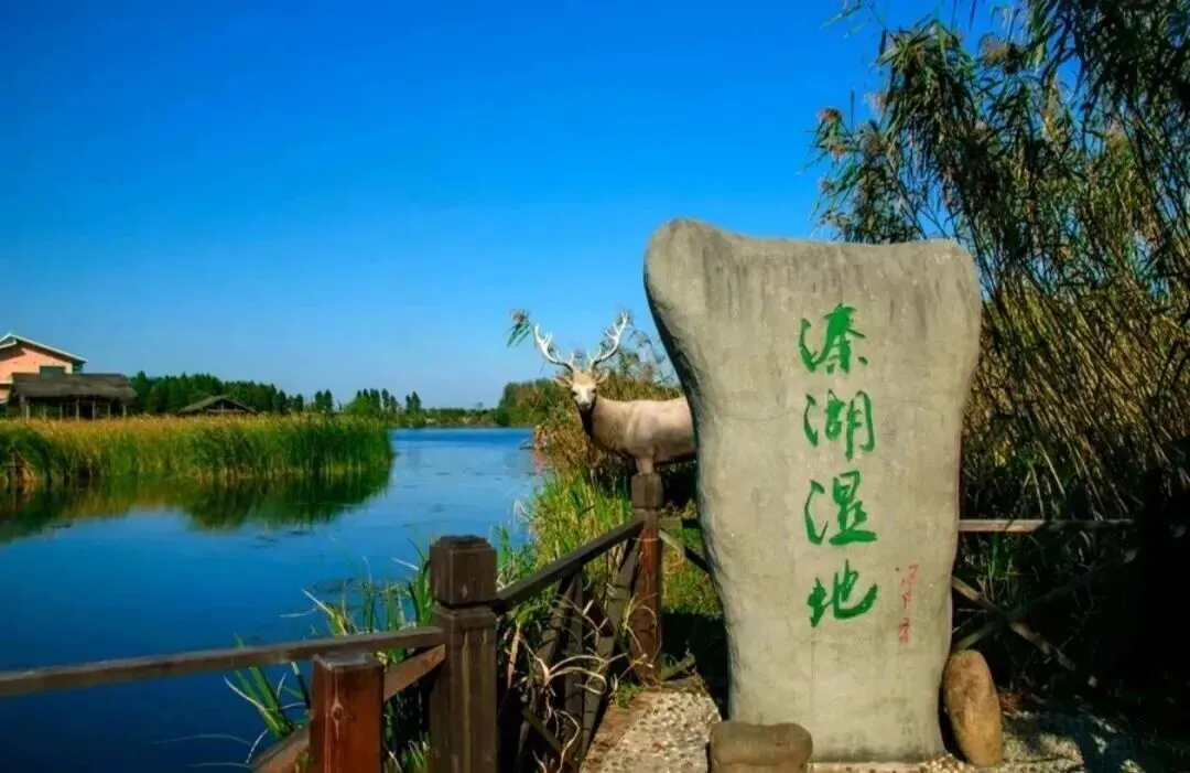 旅游攻略 | 玩转泰州:12处必逛景点+11道必吃特色美食,本地人强烈推荐