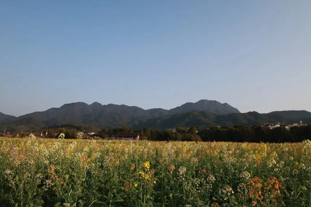 九寨沟、黄龙、四姑娘山等多景区妇女节免票
