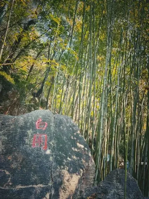 河南龙门石窟+少林寺把全国景区的饭碗给砸了