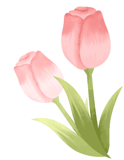 宠爱所有女性!龙南这些景区,免票!