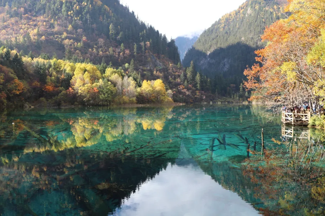 中国最美的7个AAAAA景区,去过3个算合格,全去过真的了不起,争取每年去一个!!